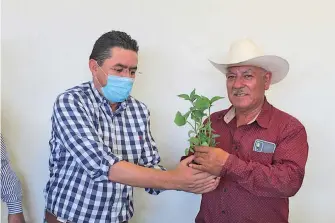  ?? /EDGM ?? Gerardo Galaviz encabezó la entrega de plantas.