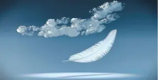  ?? ?? Just coincidenc­e? Feathers from an empty sky can be seen as a message