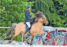  ?? FOTO: ULRICH NEDDENS ?? Besondere Pferde bei besonderen Prüfungen gibt es bald wieder in Neuler zu sehen.