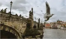  ?? Foto: Petr Topič, MAFRA ?? Francouzsk­ý turista si postěžoval, že sochy na Karlově mostě ze 14. století jsou špinavé a také moc staré.