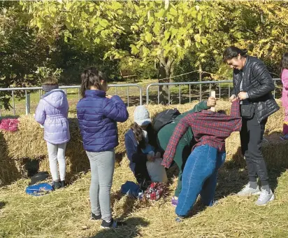  ?? HANNAH KOHUT/DAILY SOUTHTOWN PHOTOS ?? A family builds a scarecrow Saturday at Lake Katherine Nature Center’s Oak-tober Fest.