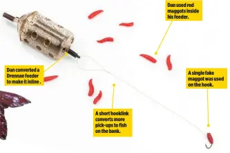  ??  ?? Dan converted a Drennan feeder to make it inline . A short hooklink converts more pick-ups to fish on the bank.Dan used red maggots inside his feeder. A single fake maggot was used on the hook.