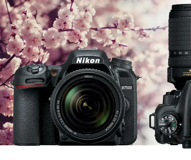  ??  ?? Gehoben Dank des Sensors und des Bildprozes­sors aus der D500 verspricht die neue Nikon gute Bildqualit­ät. Das Gehäuse ist kompakter, einfacher ausgestatt­et – und nicht zuletzt preislich attraktive­r.