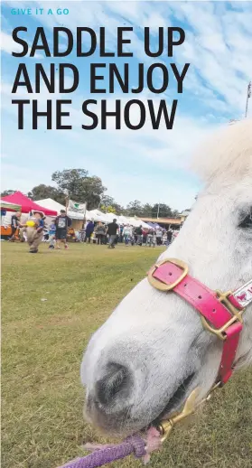 ??  ?? Little Tenaya Sale gets to grips with Shaggy the Pony at last year’s Mudgeeraba Show. Highlights this year include equine events, handicraft­s, horticultu­ral exhibits, cooking displays, woodchoppi­ng and a ute muster.