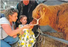  ?? 06_a26RHS22 ?? Florence and mum Danielle Edwards from Broughty Ferry were entranced by this calf belonging to Catherine McKechnie, Gartocharn. Florence loves the animated bull character Angus from the movie Ferdinand. Looking after the kids and the calf was Harry...