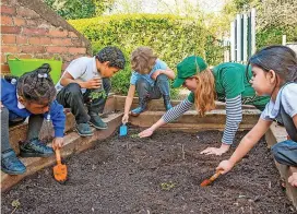  ?? Neil Phillips ?? Wildflower planting at St Barnabus School