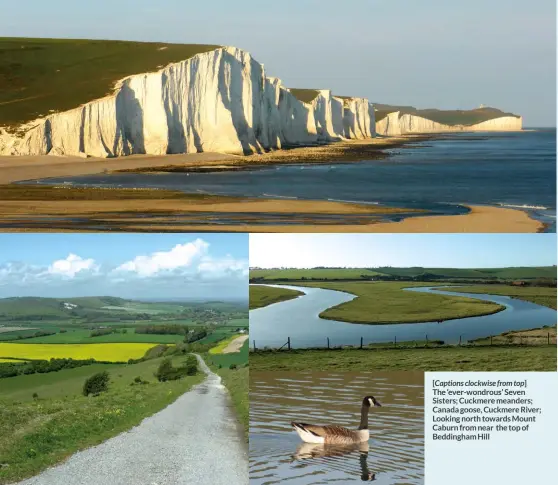  ?? ?? Cribyn & N escarpment from Pen y Fan [Captions clockwise from top]
The ‘ever-wondrous’ Seven Sisters; Cuckmere meanders; Canada goose, Cuckmere River; Looking north towards Mount Caburn from near the top of Beddingham Hill