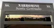  ??  ?? Narromine Santa Gertrudis is holding its bull sale on September 11 in Mirri Mirri.
