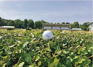  ??  ?? Den Golfball auf dem Grün hat Rheinduell-Nutzer Marc Aschmann aufgenomme­n. Das ist ja auch irgendwie typisch Düsseldorf – zumindest passt es zum Klischee der Stadt der Schönen und Reichen.