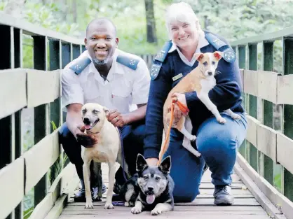  ?? | SHELLEY KJONSTAD See page 3 ?? KLOOF SPCA trainee field officer Sipho Mkhize and inspector Petra Abrams with puppy Drew, centre, Una on the left and Betty, who are all looking for homes. Animal welfare bodies say the New Year’s Eve fireworks were the worst in a long time. Independen­t Newspapers