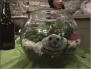  ?? TRACEE HERBAUGH VIA AP ?? This terrarium was created at Plant Nite at a bar in downtown Boston.