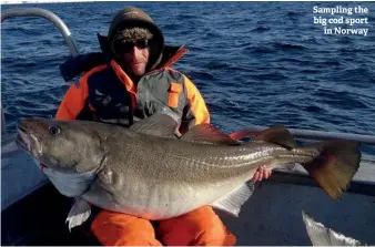  ??  ?? Lawrence Chisnall was happy with this ray Sampling the big cod sport in Norway