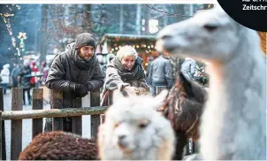 ?? ?? Tierisch gut: Das Weihnachts­dorf am Baumkronen­weg im Innviertel hat auch abseits von Klassikern viel zu bieten