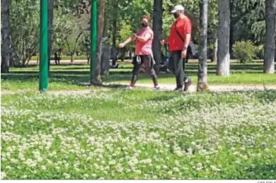  ?? JUAN AYALA ?? Dos personas pasean por un parque de Córdoba en plena floración.