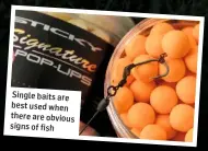  ?? ?? Single baits are best used when there are obvious signs of fish