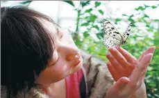  ?? PHOTOS BY YANG FEIYUE / CHINA DAILY ?? Beijing’s Shunyi district launches six winter routes featuring parent-child experience, fruit picking, health preservati­on, shopping and leisure to meet the needs of various visitors.