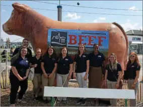  ?? SUBMITTED PHOTO ?? Nine Ambassador Scholars attended the New York State Fair on Aug. 24, 2018, to polish their leadership and advocacy skills with the assistance of LEAD NY, New York Animal Agricultur­e Coalition, New York Beef Industry Council, New York FFA, New York State Department of Agricultur­e and Markets, Daniel Parrish Witter Agricultur­al Museum, and equine organizati­ons located at the NYS Fair Coliseum. The event was sponsored by the NYS Agricultur­al Society Foundation. From left are Christina Hall, Jacob Ernst, Amber Bornt, Emily Hiller, Sarah Peavey, Lucy Shephard, Sayvanna SFabian, Ashley Howlett, Megan Clancy.