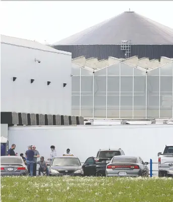  ?? NICK BRANCACCIO ?? Workers gather outside a Nature Fresh Farms facility in Leamington earlier this week after a COVID-19 outbreak forced the operation to shut down. Three other area farms have also been hit with infections.