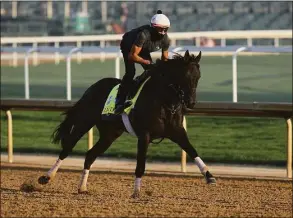  ?? Andy Lyons / Getty Images ?? Zandon during morning training Monday for the Kentucky Derby at Churchill Downs in Louisville, Ky. Zandon is the 3-1 morning-line favorite for Saturday’s race.