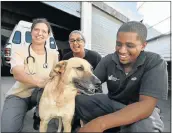  ?? Picture: EUGENE COETZEE ?? PET PALS: Lizzy with her friends, from left, Dr Mirjam van der Wel, Faatimah Kader Ajam and Jonathan Koopman at the Animal Anti-Cruelty League in Cleary Park