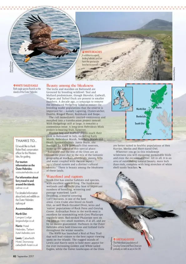  ??  ?? ÉWHITE-TAILED EAGLE Both eagle species flourish on the islands of the Outer Hebrides ÊWHITE BEACHES In addition to superb birding habitats, you can have the spectacula­r beaches to yourself GREYLAG GOOSE The Hebridean population­s of Greylag Goose and...