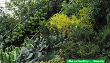  ??  ?? IKEA and Tom Dixon — Gardening Will Save The World — at Chelsea