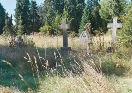  ?? ?? All Saints Cemetery was the subject of complaints about the length of the grass earlier this year. Ref:133788-9