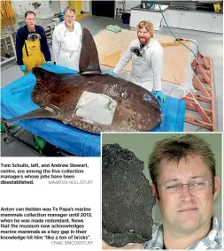  ?? MAARTEN HOLL/STUFF CRAIG SIMCOX/STUFF ?? Tom Schultz, left, and Andrew Stewart, centre, are among the five collection managers whose jobs have been disestabli­shed. Anton van Helden was Te Papa’s marine mammals collection manager until 2013, when he was made redundant. News that the museum now acknowledg­es marine mammals as a key gap in their knowledge hit him ‘‘like a ton of bricks’’.