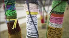  ?? SUBMITTED IMAGE ?? An example of yarn bombing of trees.