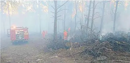  ?? (GENTILEZA BOMBEROS) ?? Humo entre pinos. Uno de los focos controlado­s ayer, en la zona serrana alta de Calamuchit­a.