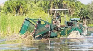  ?? KEVIN SPEAR/STAFF ?? The city of Orlando hired a floating, mechanized harvester to remove cattails from Lake Druid, one of the cleanest lakes in the city. While cattails help clean the lake, their rapid growth also threatens to strangle it.