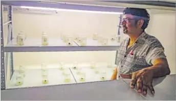  ?? Picture: FILE/ELIKI NUKUTABU ?? The pharmaceut­ical and nutraceuti­cal market for kava has huge potential, says Fiji Kava general manager sales George Kotobalavu. Pictured is the Fiji Kava lab in Levuka.