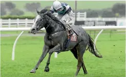  ?? TRISH DUNELL ?? The Soultaker and Mark Du Plessis splash to victory in the Bonecrushe­r Stakes.