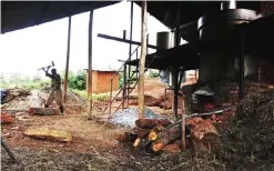  ?? —AFP ?? GAHARA, Rwanda: A man chops wood at a small factory in Gahara in the Southeast of Rwanda on April 28, 2017. Last year, Rwanda exported around 14 tons of essential oils — geranium, moringa, patchouli and tagetes — bringing in $473,000, according to the...