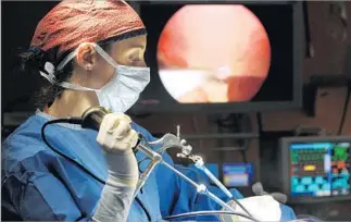  ?? Photog raphs by Christina House For The Times ?? DR. NICOLE BUOTE performs laparoscop­ic surgery on Coach, a year-old Bernese mountain dog, at VCA West Los Angeles Animal Hospital. Stem cells were also harvested during the procedure.