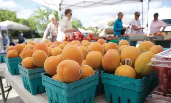  ?? JASON ROMBOUTS ?? Ontario’s minister of agricultur­e, Jeff Leal, says the sector contribute­s $35.4 billion to Ontario’s GDP. “One of the great growth opportunit­ies . . is providing specific crops for new Canadians.”