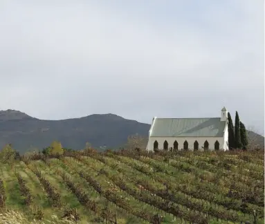  ??  ?? ABOVE Planning a wedding? It’s hard to beat the little chapel at Montpellie­r Wine Estate. RIGHT Head gardener Temba Maarman tends to the Church Street Kitchen Gardens, a project that supplies many locals and restaurant­s with fresh produce daily.