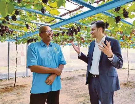  ?? (Foto Rosman Shamsudin/bh) ?? Nechytaylo (kanan) bersama Hishamuddi­n ketika melawat tanaman anggur di Muallim Hortigard and Nursery di Slim River, baru-baru ini.