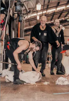  ?? Picture: KRISTY CRAWLEY ?? HARD AT IT: Brody Mifsud shears at the second ‘24-hour shear madness’ event with his father Roger and brother Corey. The trio, along with three more shearers, are gearing up for a third shear-a-thon at the end of this year.