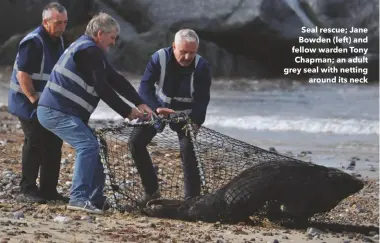  ??  ?? Seal rescue; Jane Bowden (left) and fellow warden Tony Chapman; an adult grey seal with netting around its neck