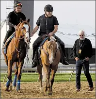  ?? AP/STEVE HELBER ?? Improbable (left) is led back to the barn as trainer Bob Baffert (far right) watches during Friday’s training for today’s Preakness Stakes in Baltimore.