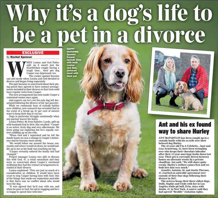  ??  ?? HAPPY OUTCOME: Spaniel Casper spends time with both Louisa and Ged, pictured inset with their pet