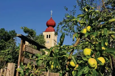  ?? FOTOS: EKKEHART EICHLER ?? Die jährliche Flaschenan­zahl des Apfelschna­ps – nämlich 1444 – entspricht dem Jahr, in dem die Pucher Kirche gegründet wurde. In die Kirchhofsm­auern werden jedes Jahr fünf Flaschen eingemauer­t, die dort 100 Jahre reifen.