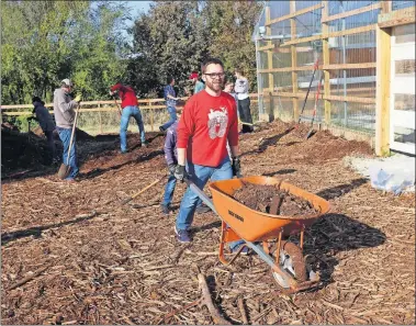  ?? [DOUG HOKE PHOTOS/ THE OKLAHOMAN] ?? Jason McElvany moves a wheelbarro­w of mulch at RestoreOKC's community garden.