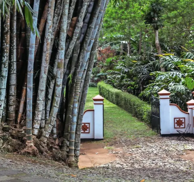  ??  ?? Il MesaStila Resort, a Mageland, ha anche un maneggio: con i cavalli si possono perlustrar­e le piantagion­i di caffè della zona.