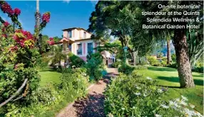  ??  ?? On-site botanical splendour at the Quinta Splendida Wellness & Botanical Garden Hotel