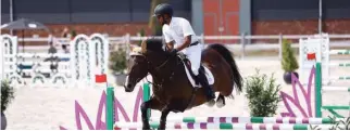  ?? Supplied photo ?? TOP CLASS: Omani rider Sultan Al Tooqi in action at the Showjumpin­g event in Holland.–