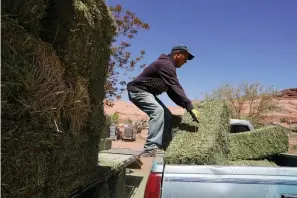  ?? (AP Photo/Carolyn Kaster) ?? In this April 27, 2020, photo, Charlie Whitehouse loads hay into the back of a pickup truck in Oljato-Monument Valley, Utah, on the Navajo reservatio­n. Even before the pandemic, people living in rural communitie­s and on reservatio­ns were among the toughest groups to count in the 2020 census.