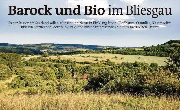  ?? FOTO: PA / EIKE DUBOIS ?? Idylle zwischen Saarbrücke­n, St. Ingbert, Homburg und Zweibrücke­n: Die Landschaft des Bliesgau ist geprägt von sanften Hügeln.