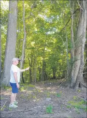  ??  ?? Tom Christophe­r talks about the trees that inspired the name for his Tall Oaks event barn in Kirtland.